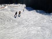 Piste de boardercross Biberwier (Biber-Butzebahn)