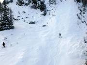 Espace de ski libre sous le Powder Shuttle