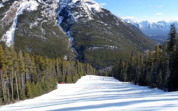 Diversité des pistes Chaînon Sawback – Diversité des pistes Mt. Norquay – Banff