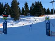 Station Adler7 Söllereck : Eagle Eye Run - parcours de slalom