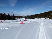 Bon plan pour les enfants : 