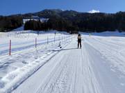 Sammer - Télécorde/remonte-pente à câbles bas