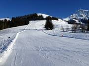Descente Sauregg, piste FIS