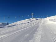 Descente Riedkopf "Direkte"