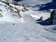 Descente Pitz-Live