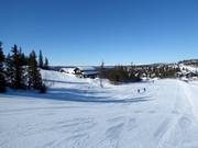 Piste facile Bruløypa