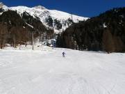 Piste facile à proximité de la vallée