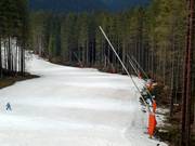 Lances à neige en bordure des pistes
