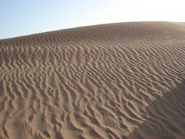 Surf sur sable Dubai