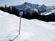 Bon plan pour les enfants : 