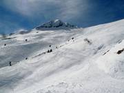 Des pentes de poudreuse infinies