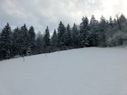 Partie supérieure de la piste au Wanklift II