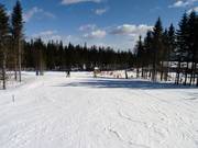 Piste pour débutants Nybegynnerbakken