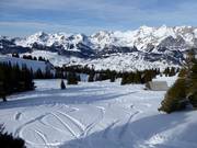 Traces dans la poudreuse au Gamserrugg