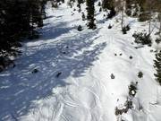 Descente en poudreuse