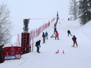 Rip Cord - Télécorde/remonte-pente à câbles bas