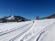 Piste de ski de fond parfaitement damée à Ramsau am Dachstein