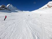 Piste facile n° 38 Tiefenbachferner