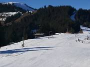 Verbindungslift Markbachjoch (Telecord) - Télécorde/remonte-pente à câbles bas