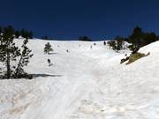 Itinéraire de ski dans la Freeride Area