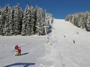 Rittisberglift - Téléski à pioches