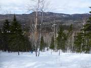 Piste forestière déboisée Le Nid-d'Aigle