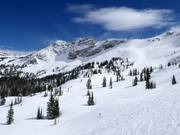 Pistes au télésiège Sugarloaf