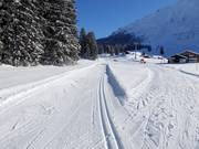 Piste de ski de fond en altitude au Gerschnialp