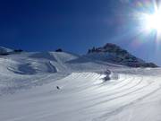 Ici, les rêves de carving deviennent réalité.