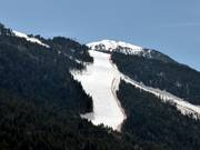 Descentes en forêt dans les secteurs Soldeu et El Tarter