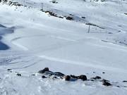 Piste de skating Gamsgarten