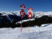 Panneaux de piste clairs