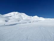 Vue sur les pentes de freeride à Tūroa