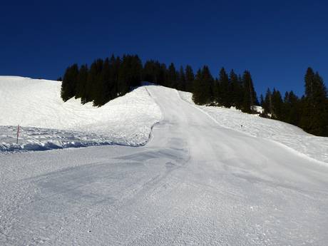 Domaines skiables pour skieurs confirmés et freeriders Miesbach – Skieurs confirmés, freeriders Spitzingsee-Tegernsee