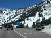 Snowbird dans le Little Cottonwood Canyon