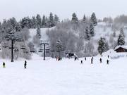 Pistes faciles près du télésiège Littlecat