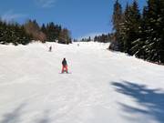 Piste 19 : Neklid - Karásek I.