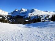 Vue sur les pistes du Lookout Mountain depuis la Wawa Bowl