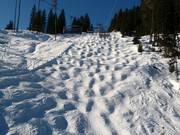 Piste à bosses à la Harbachbahn