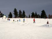Piste à vagues am Almberg