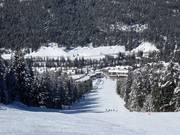 Partie supérieure de la descente Showoff