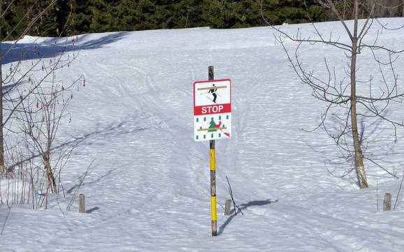 Vallée de la Sarine: Domaines skiables respectueux de l'environnement – Respect de l'environnement Rinderberg/Saanerslochgrat/Horneggli – Zweisimmen/Saanenmöser/Schönried/St. Stephan