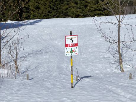 Simmental (vallée de la Simme): Domaines skiables respectueux de l'environnement – Respect de l'environnement Rinderberg/Saanerslochgrat/Horneggli – Zweisimmen/Saanenmöser/Schönried/St. Stephan