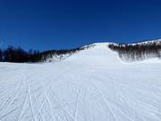 Piste difficile Ølkorken n° 11 (Gullsteinhovda)