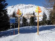 Piste Sentiero nel Bosco (Waldpiste)