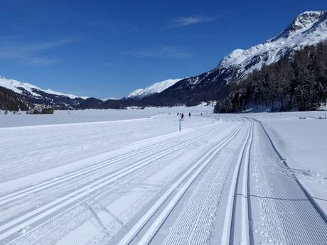 Ski nordique Europe centrale – Ski nordique Corvatsch/Furtschellas