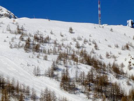 Domaines skiables pour skieurs confirmés et freeriders Alpes-Maritimes – Skieurs confirmés, freeriders Auron (Saint-Etienne-de-Tinée)