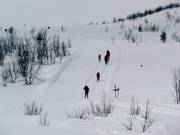 Piste de ski de fond à Beitostølen