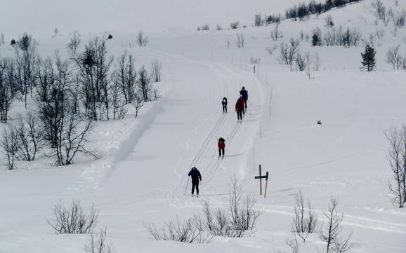 Ski nordique vallée de Valdres – Ski nordique Beitostølen