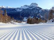 Piste fraîchement préparée dans le domaine skiable Loser